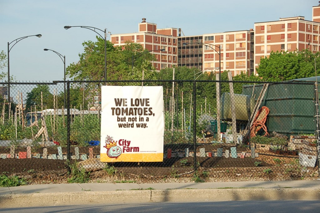 1046 City Farm Chicago b P2