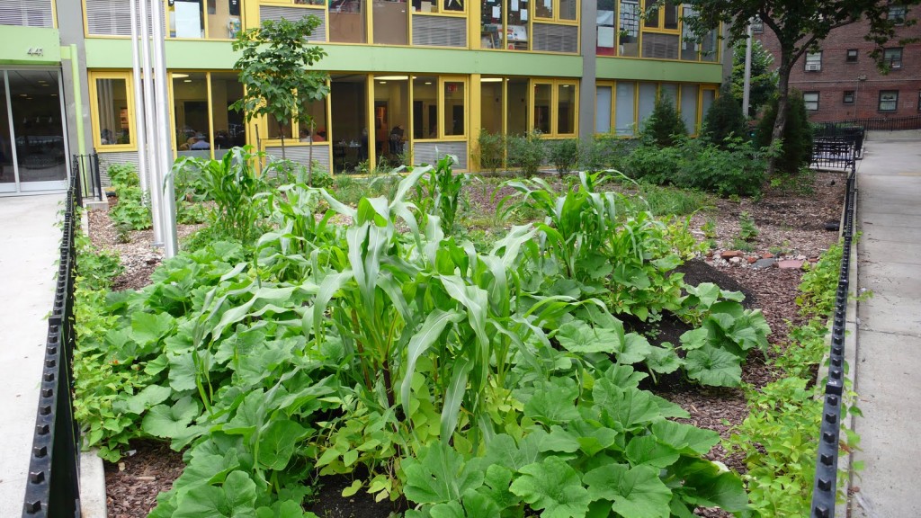 1067 Edible Estate 8