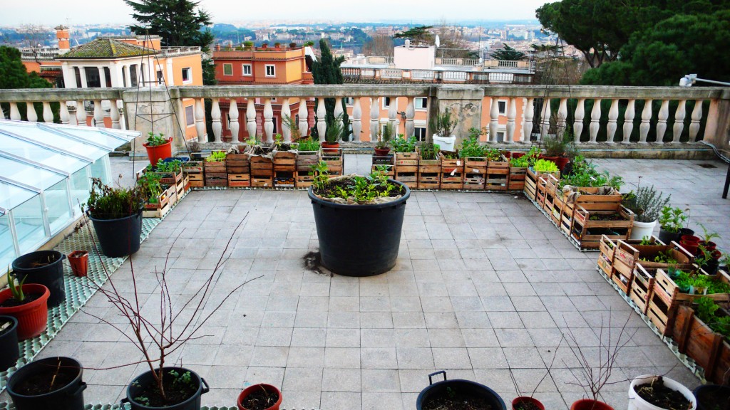 1069 Edible Estates Rooftop Terrace Rome e P