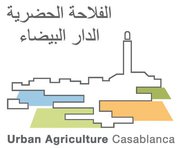 1177 Casablanca logo A3